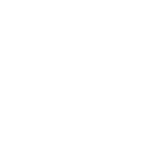 Partner logo 7